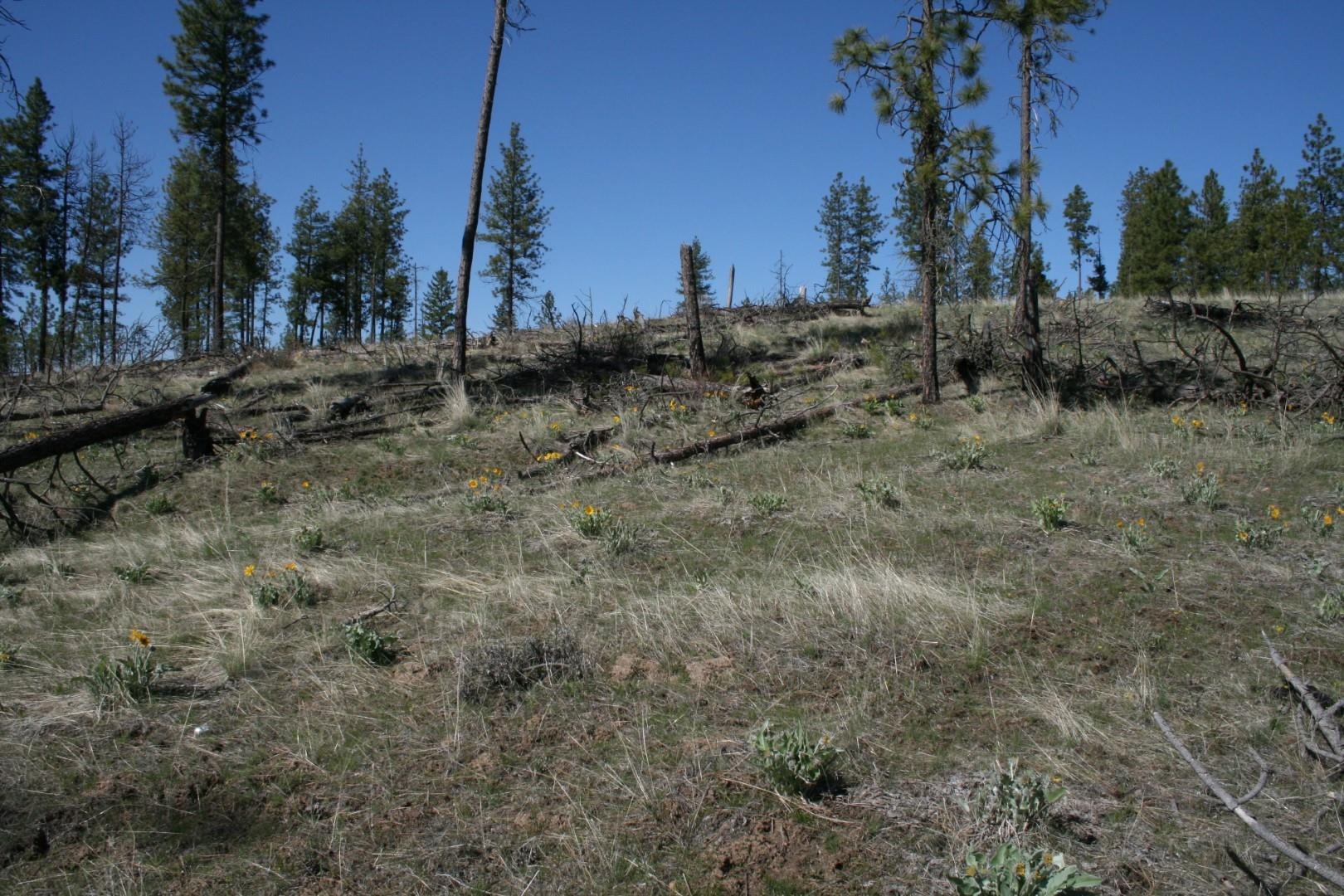 0 Coyote Canyon Road Fruitland, WA 99129 - Photo 5 of 6