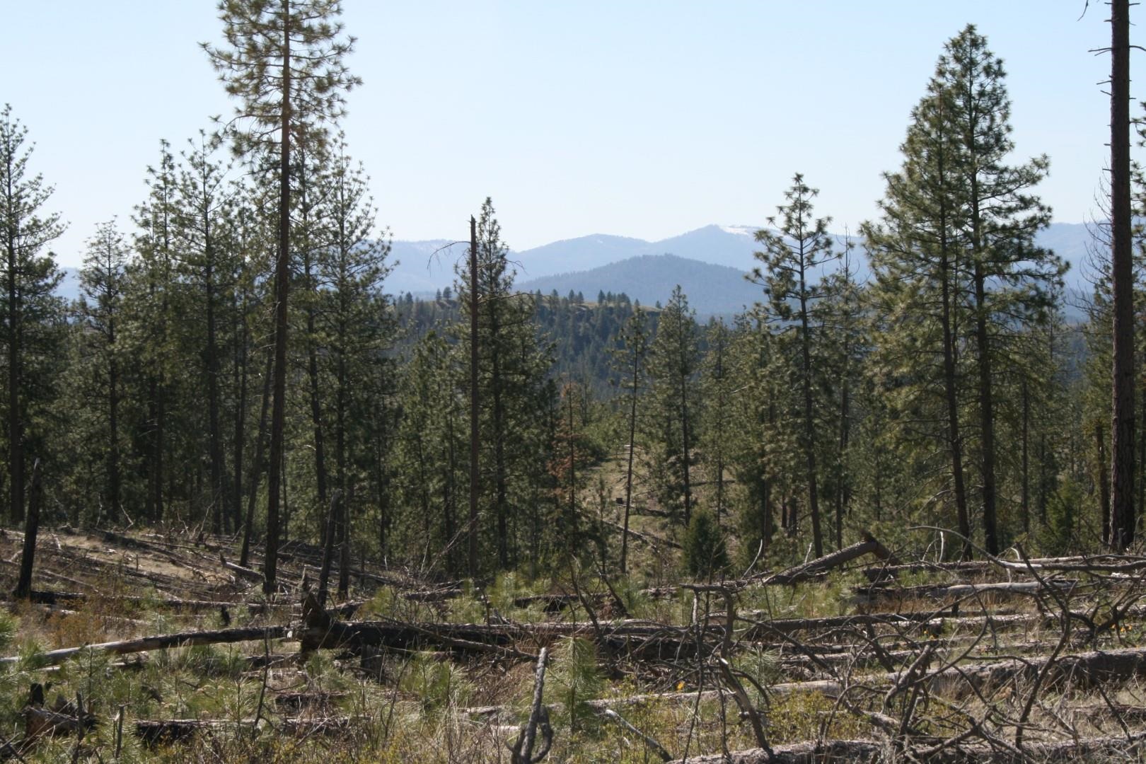 0 Coyote Canyon Road Fruitland, WA 99129 - Photo 6 of 6