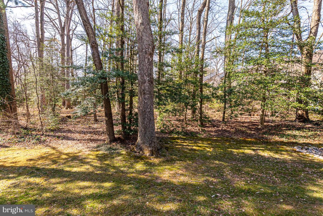 11621 Newbridge Court Reston, VA 20191 - Photo 38 of 43