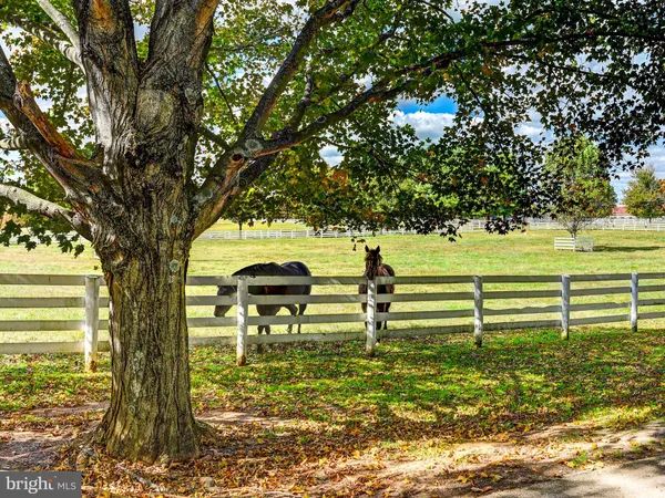 $16,500,000 | 3366 Belmont Avenue, Glyndon, MD 21136
