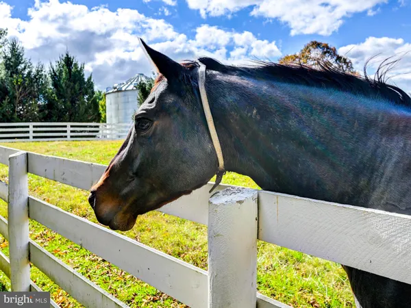 $16,500,000 | 3366 Belmont Avenue, Glyndon, MD 21136