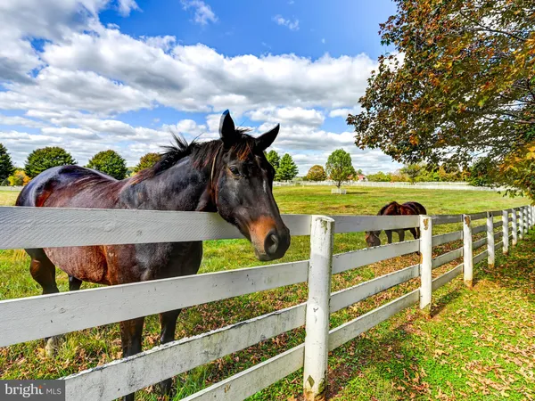 $16,500,000 | 3366 Belmont Avenue, Glyndon, MD 21136