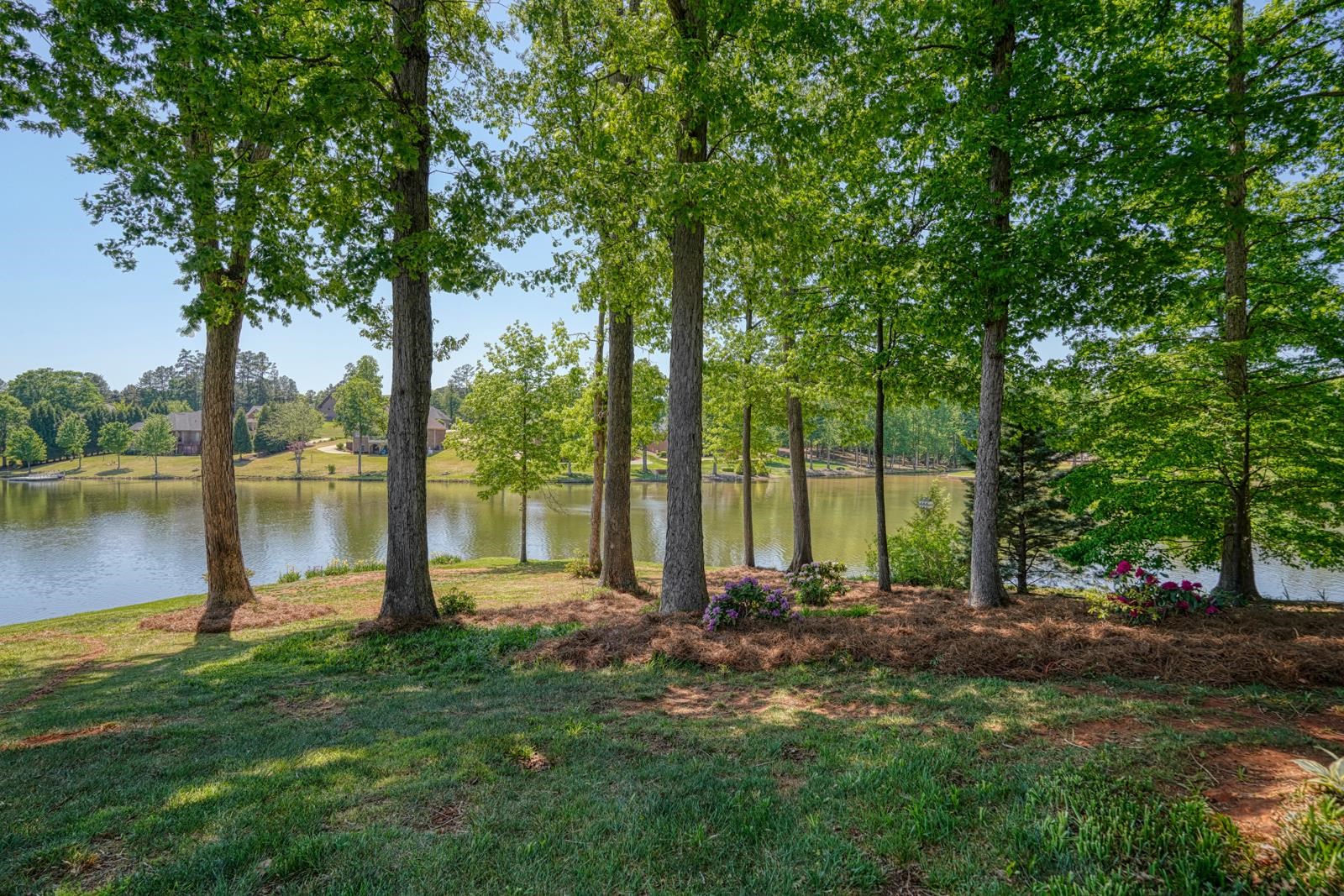 234 North Lake Emory Drive Inman, SC 29349 - Photo 31 of 47
