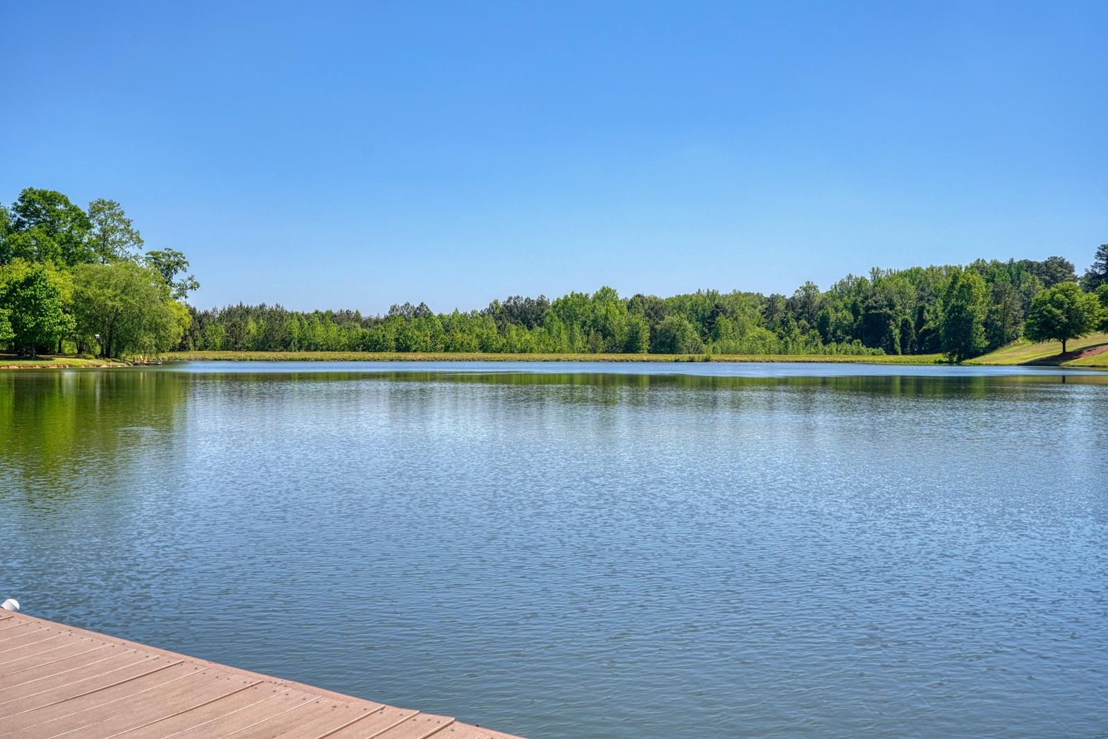 234 North Lake Emory Drive Inman, SC 29349 - Photo 38 of 47