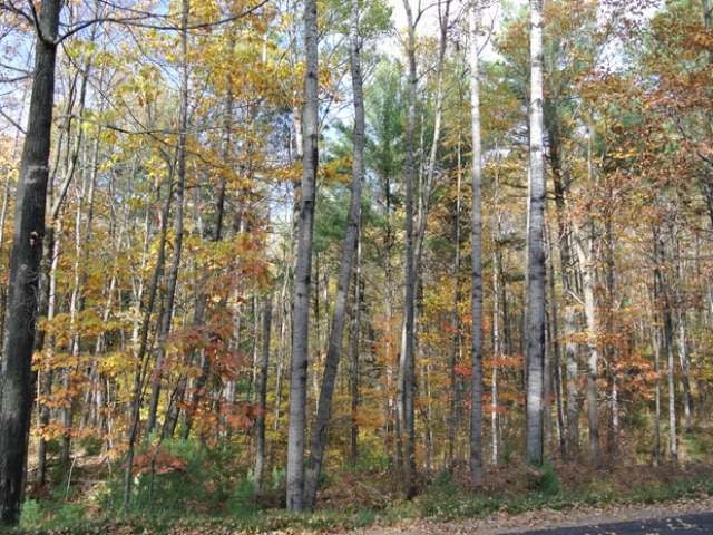 Lot 5 Sutton Road Minocqua, WI 54548 - Photo 5 of 8 Gallery Image 5