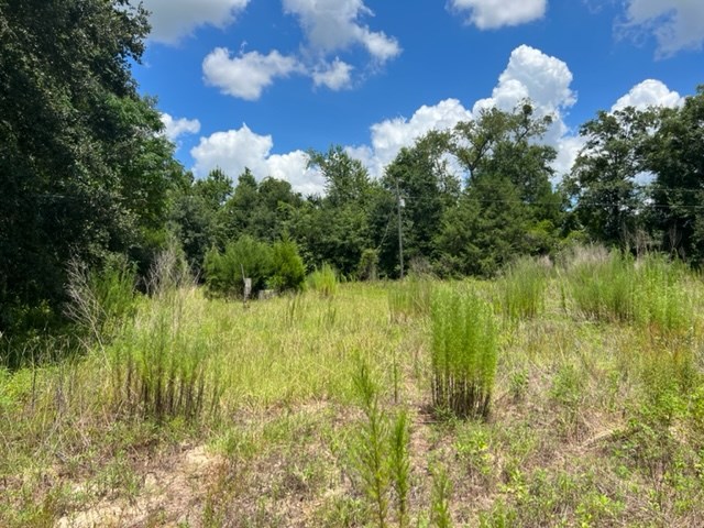 0 North Jerusalem Road Gordon, AL 36343 - Photo 9 of 11