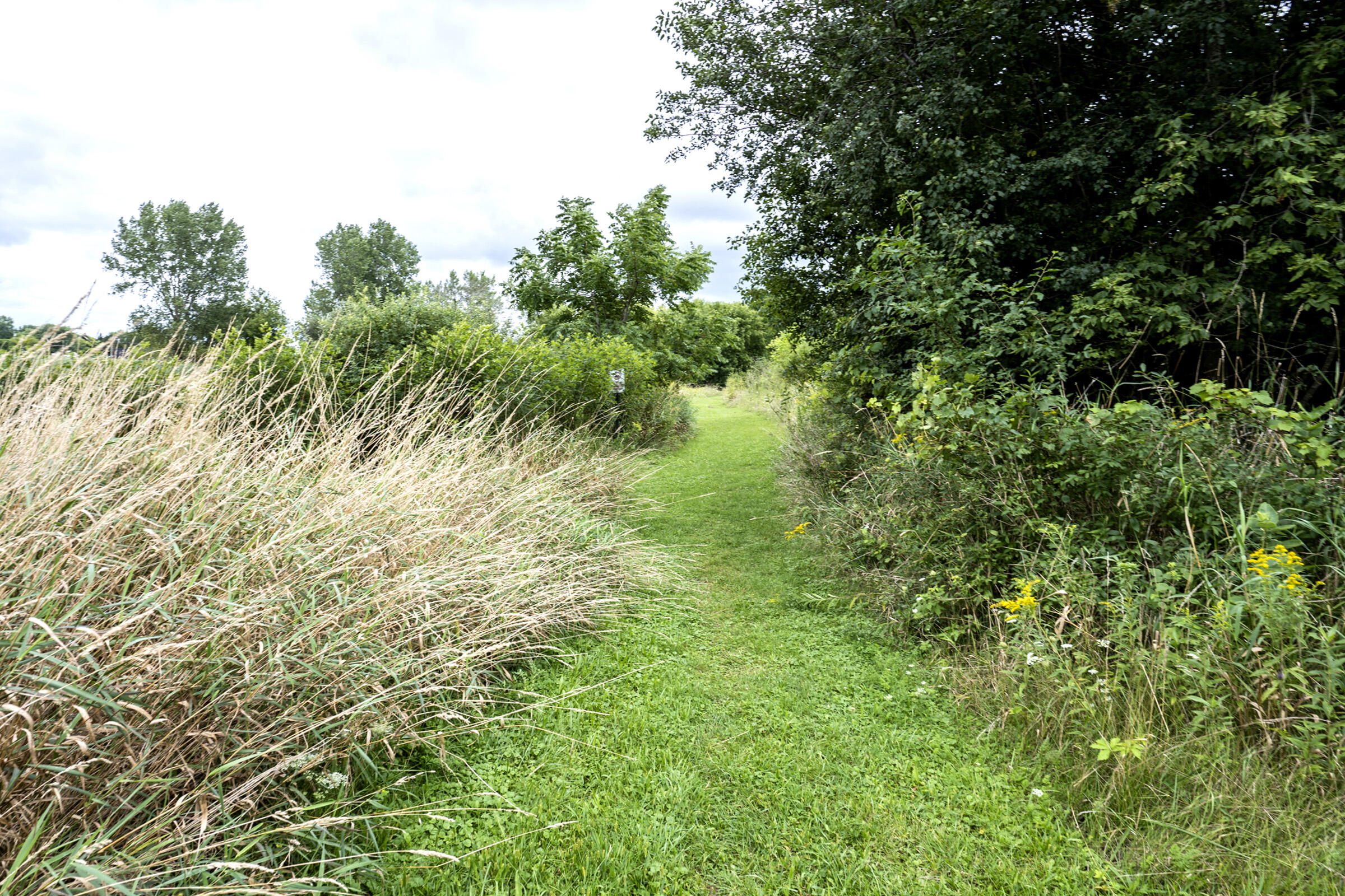 325 Sunset Drive, Unit 330 Hartford, WI 53027 - Photo 37 of 52 Southwest Edge of Property