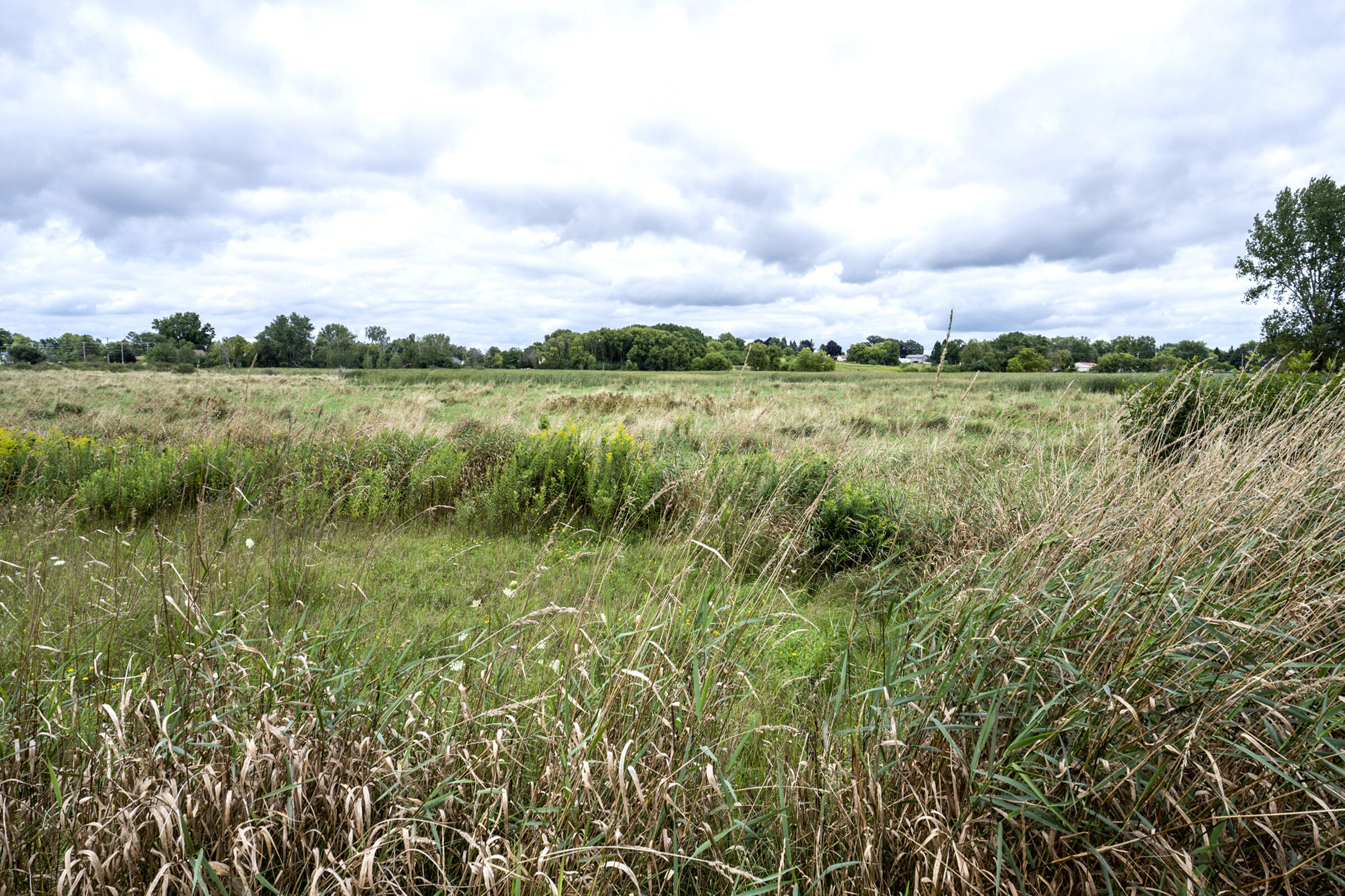 325 Sunset Drive, Unit 330 Hartford, WI 53027 - Photo 38 of 52 View to Marsh Area