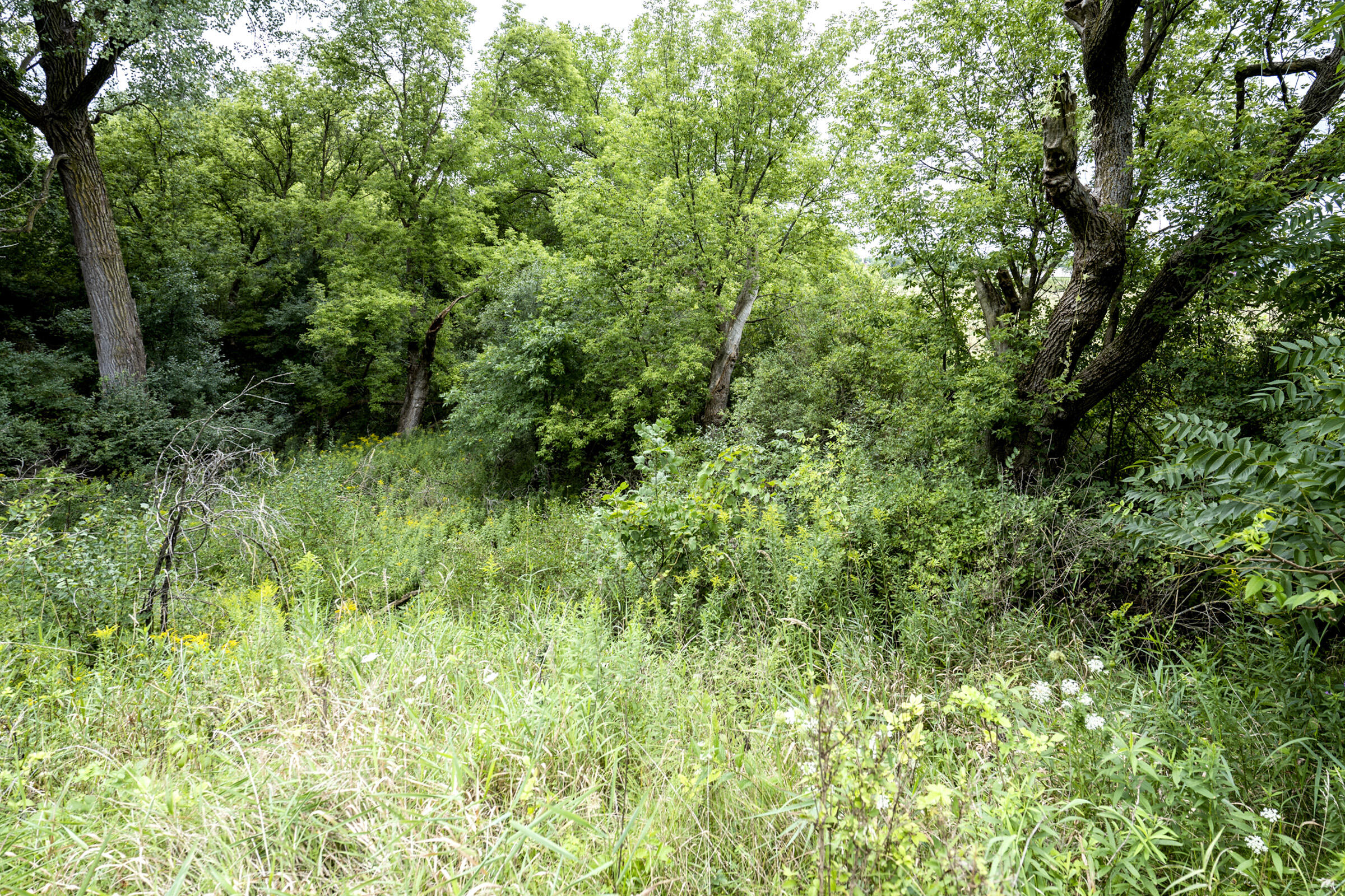 325 Sunset Drive, Unit 330 Hartford, WI 53027 - Photo 39 of 52 Buildable Land View