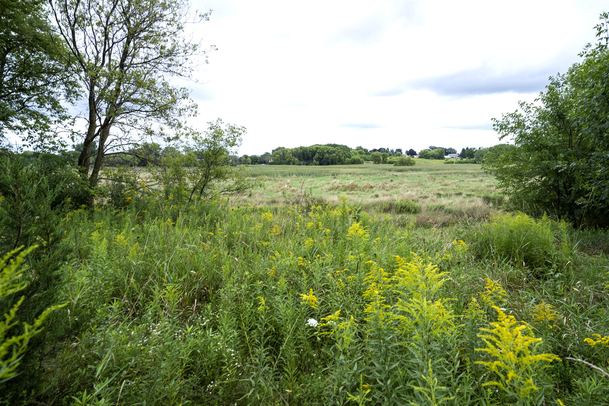 325 Sunset Drive, Unit 330 Hartford, WI 53027 - Photo 44 of 52 Buildable Land View