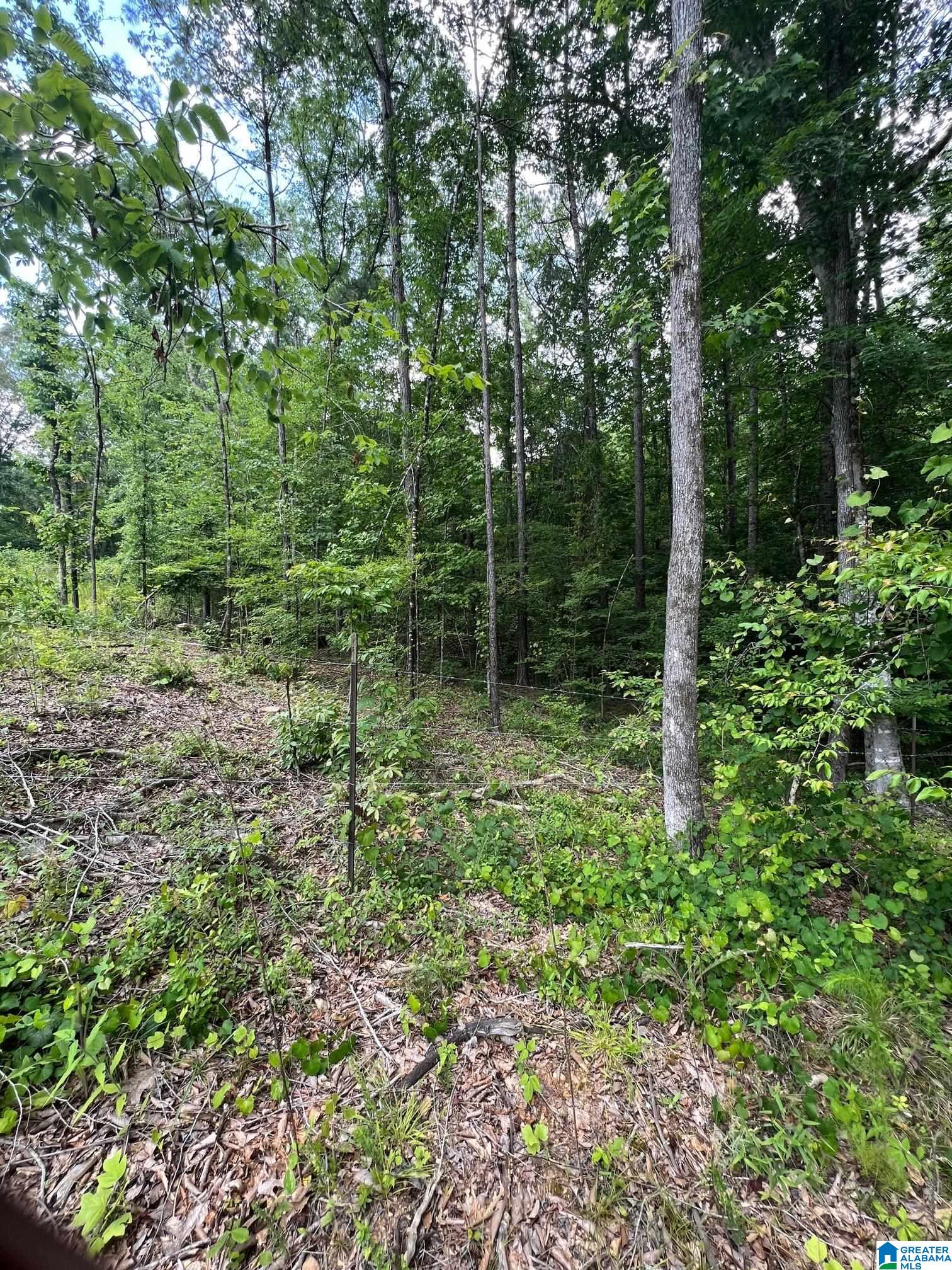 310 Fredric Ferry Road, Unit 5 AC Daviston, AL 36256 - Photo 6 of 10