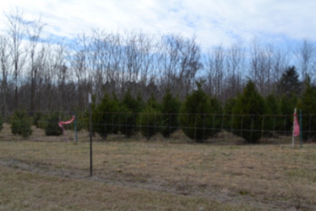 127 Rushing Springs Road Monterey, TN 38574 - Photo 39 of 52 Gallery Image 39