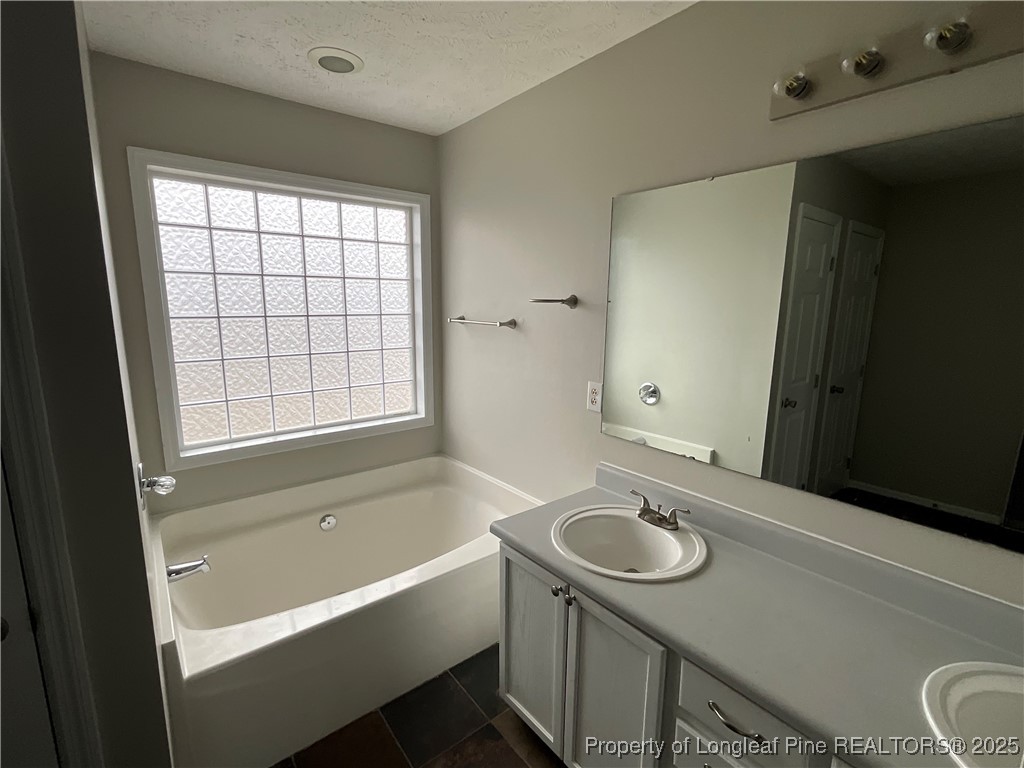 209 Pecan Trace Road Raeford, NC 28376 - Photo 17 of 24 a bathroom with a sink a tub and a window