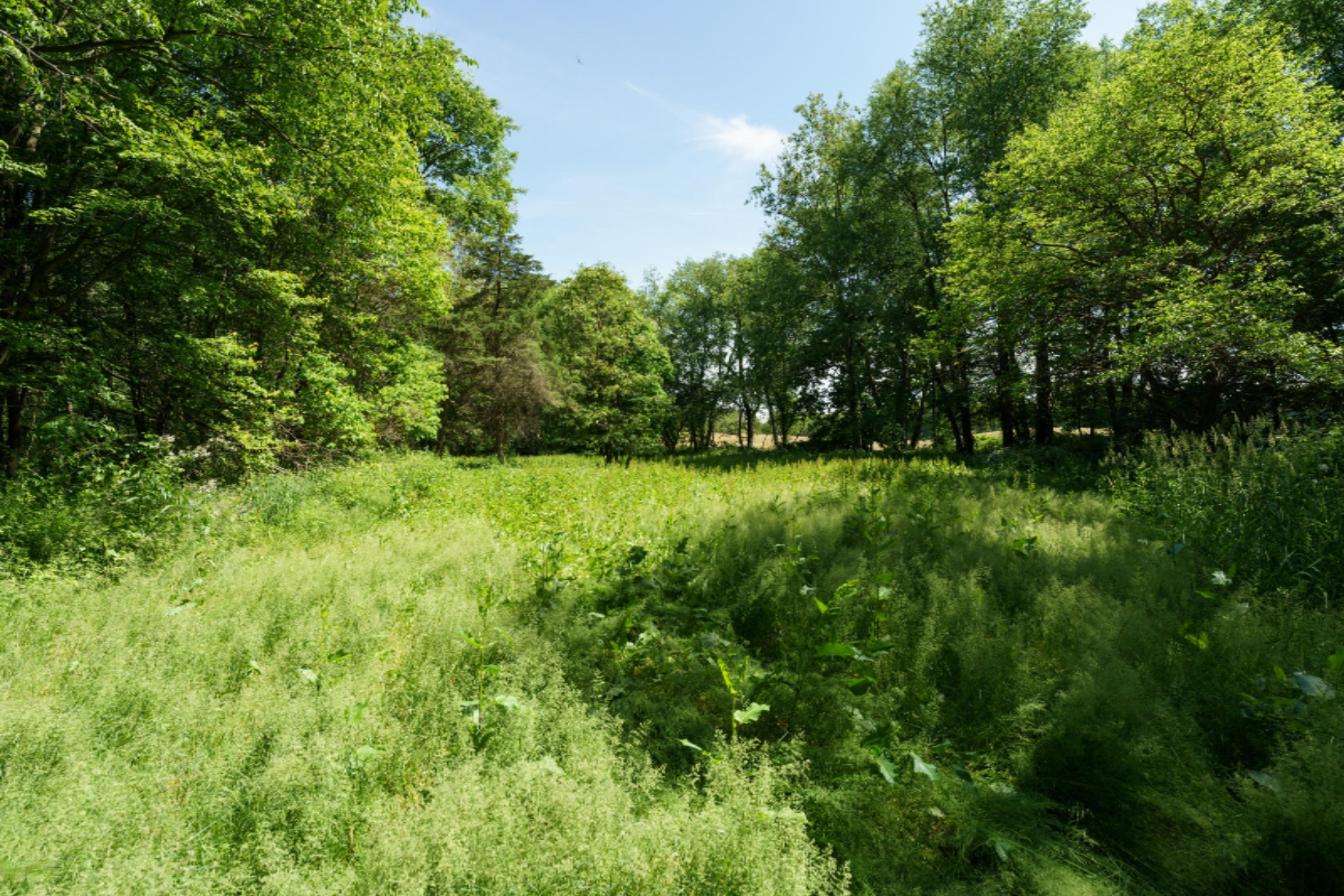 9779 Ford Road Delton, MI 49046 - Photo 34 of 50 Ford_Rd_9779_Delton_49046-33