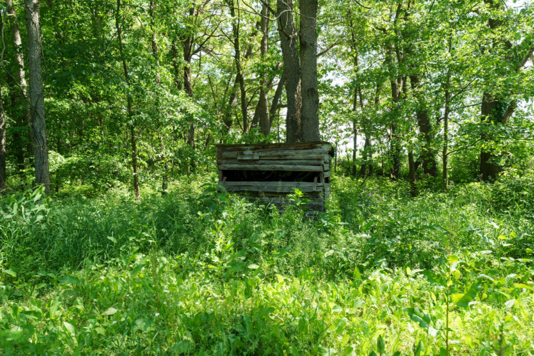 9779 Ford Road Delton, MI 49046 - Photo 35 of 50 Ford_Rd_9779_Delton_49046-34
