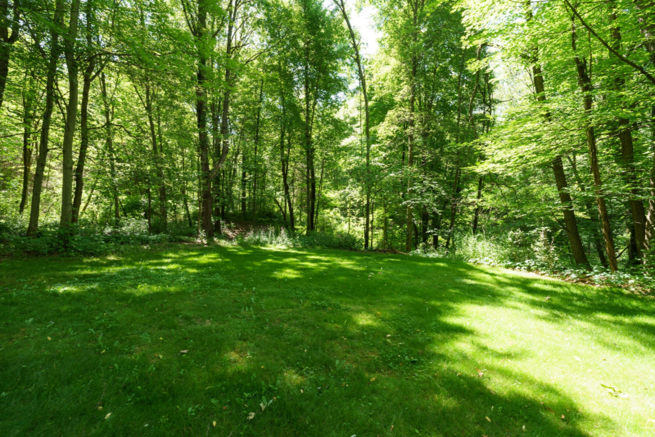 9779 Ford Road Delton, MI 49046 - Photo 45 of 50 Ford_Rd_9779_Delton_49046-45