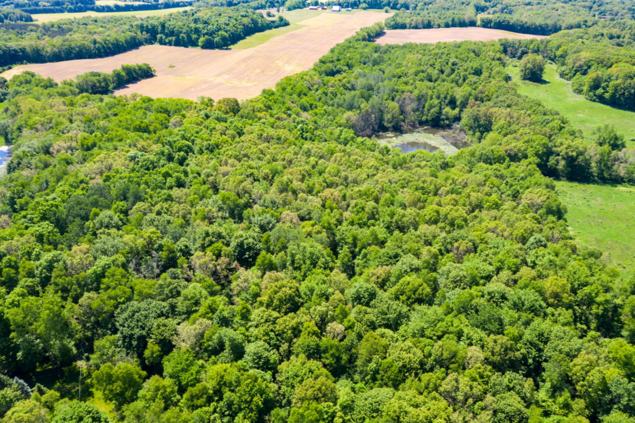 9779 Ford Road Delton, MI 49046 - Photo 47 of 50 Ford_Rd_9779_Delton_49046-47