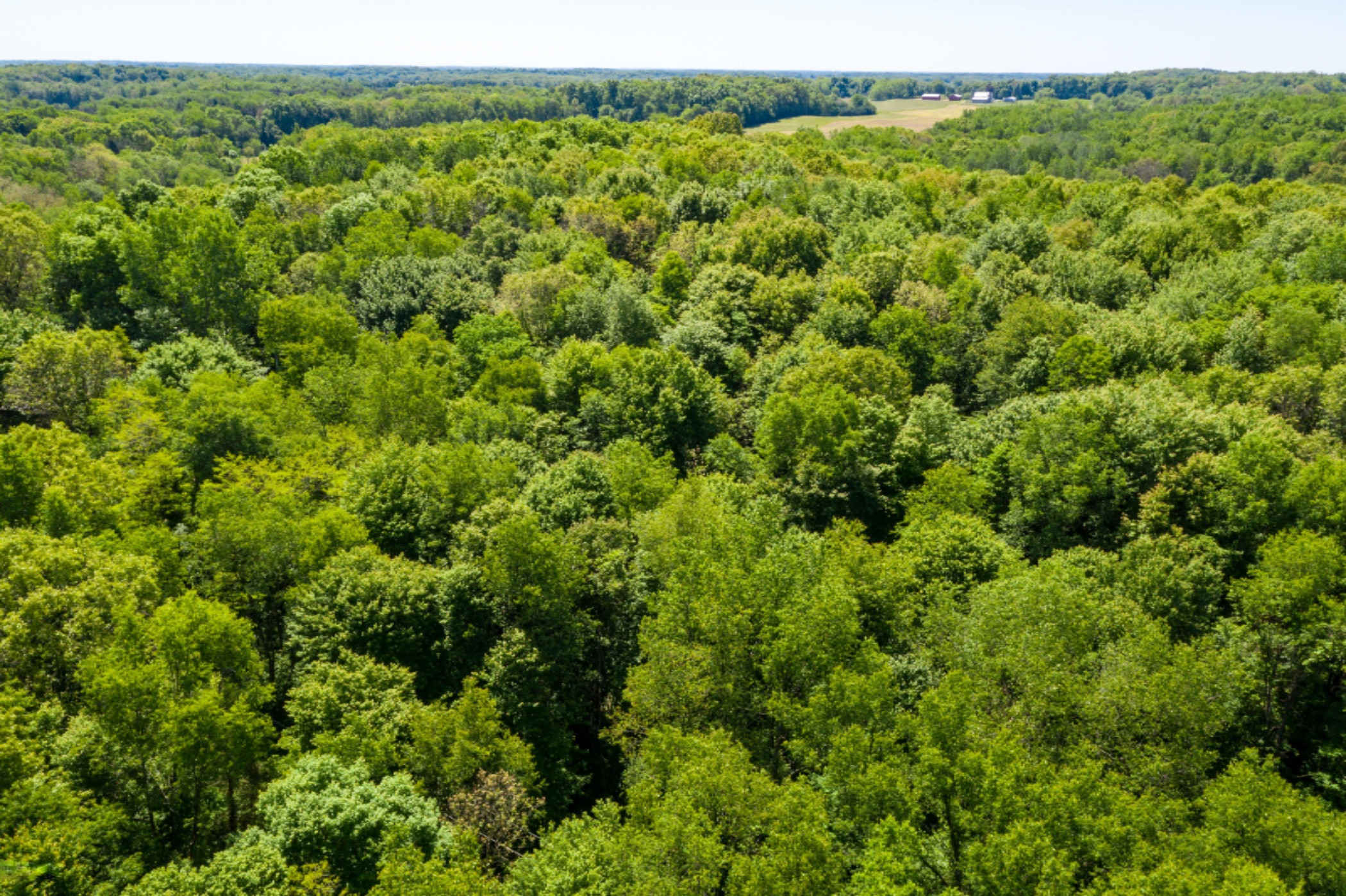 9779 Ford Road Delton, MI 49046 - Photo 49 of 50 Ford_Rd_9779_Delton_49046-49