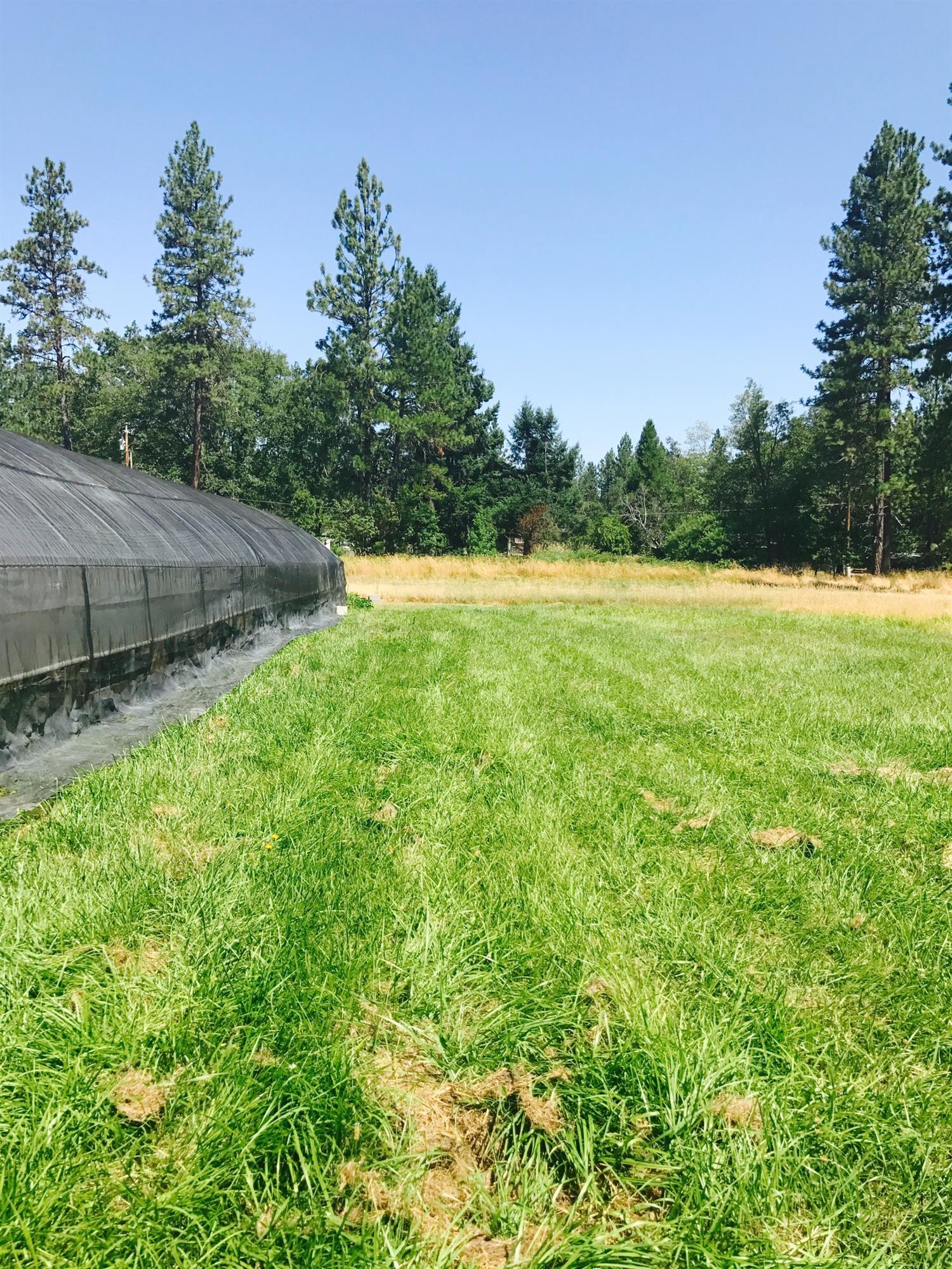 970 Cedar Flat Road Williams, OR 97544 - Photo 11 of 29 Additional Photo