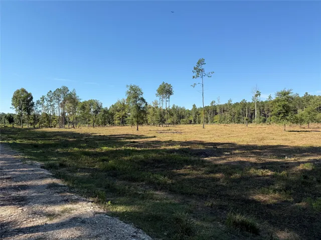 a view of a lake with houses in background