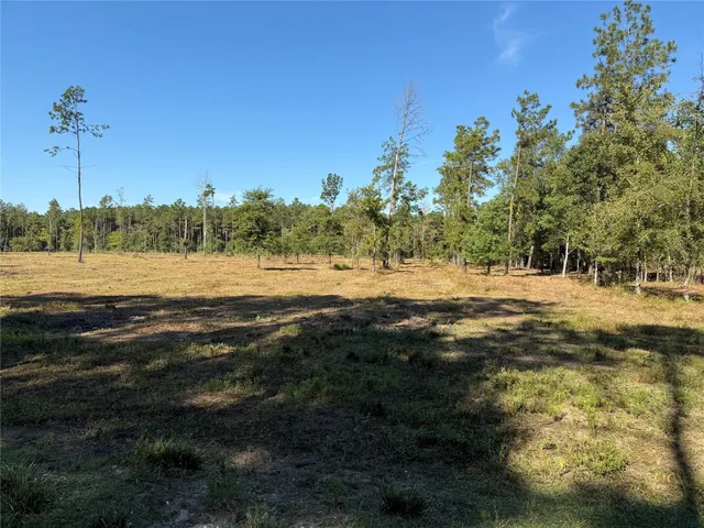 a view of dirt field with trees around