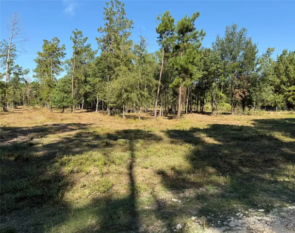 a view of dirt yard with trees