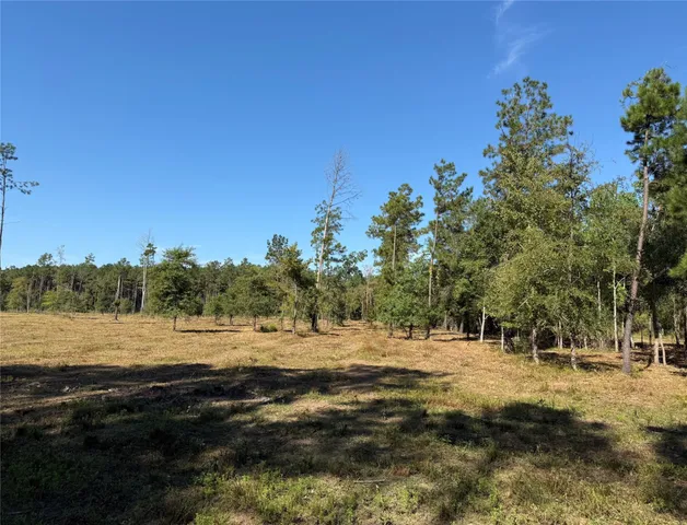 a view of dirt field with trees around