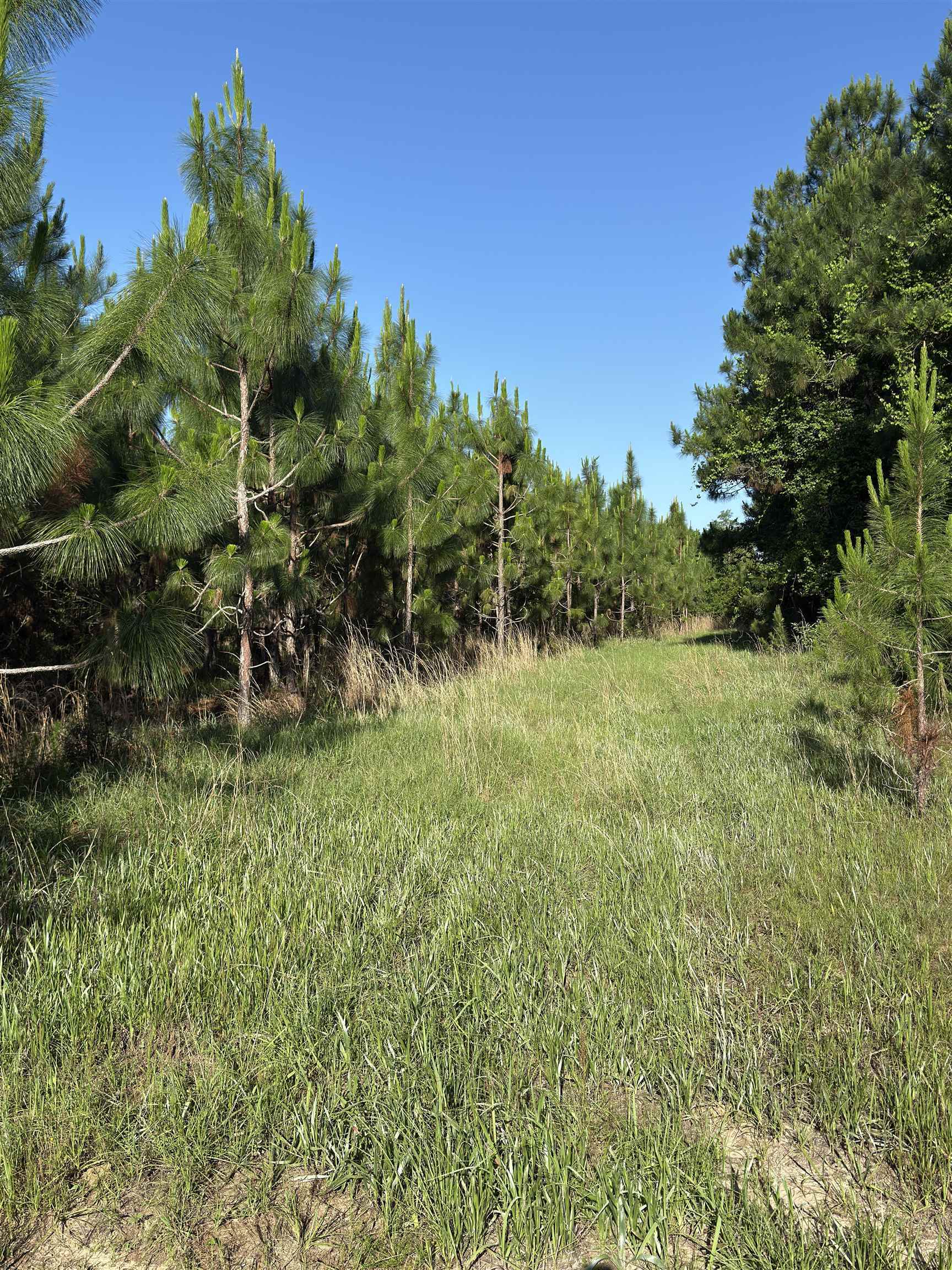 87 County Road 87 Elberta, AL 36530 - Photo 49 of 66