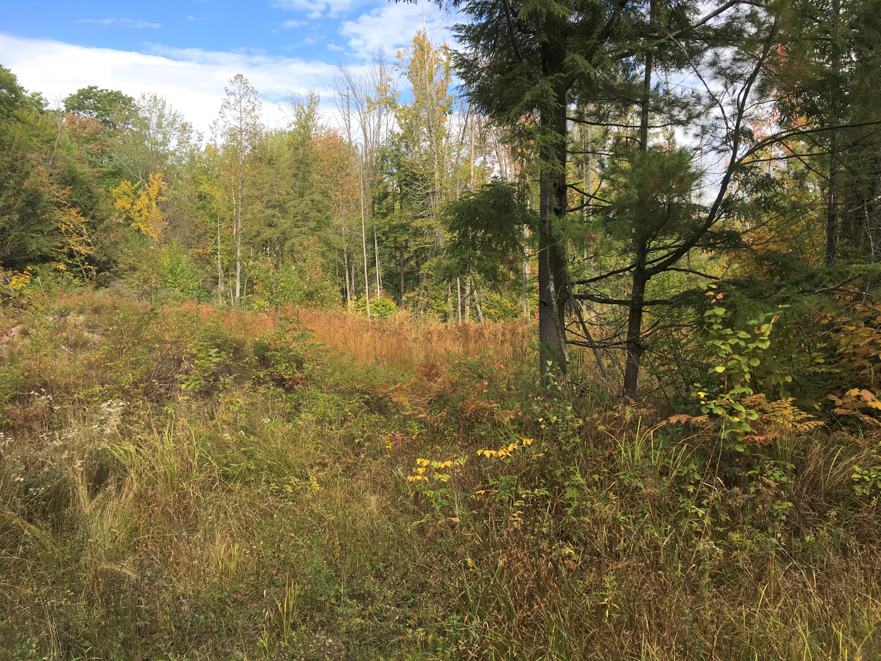 67 Longley Road Madison, ME 04950 - Photo 1 of 11 IMG_1048 (002)