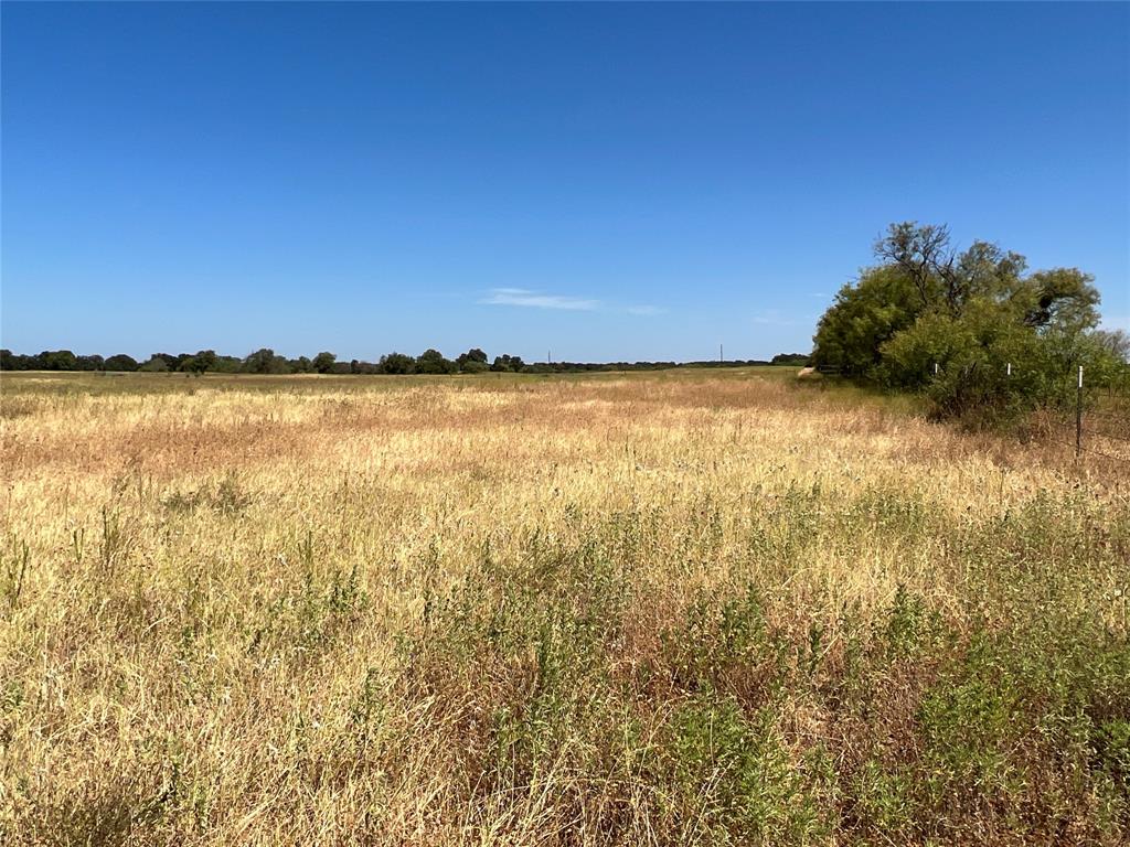 1410 County Road 239 Rising Star, TX 76471 - Photo 20 of 35