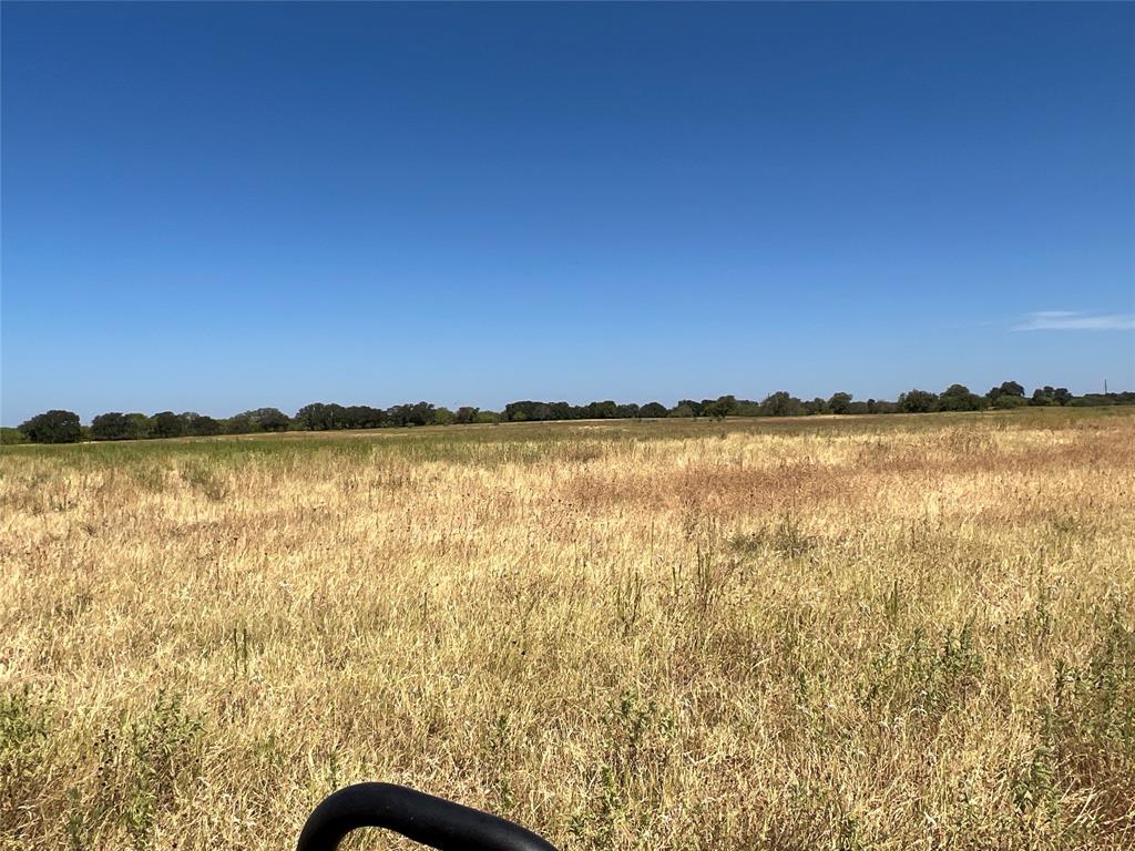 1410 County Road 239 Rising Star, TX 76471 - Photo 21 of 35