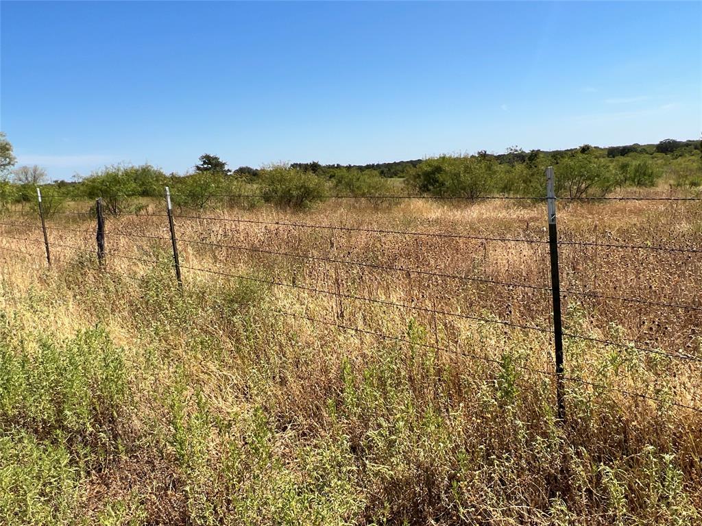 1410 County Road 239 Rising Star, TX 76471 - Photo 22 of 35