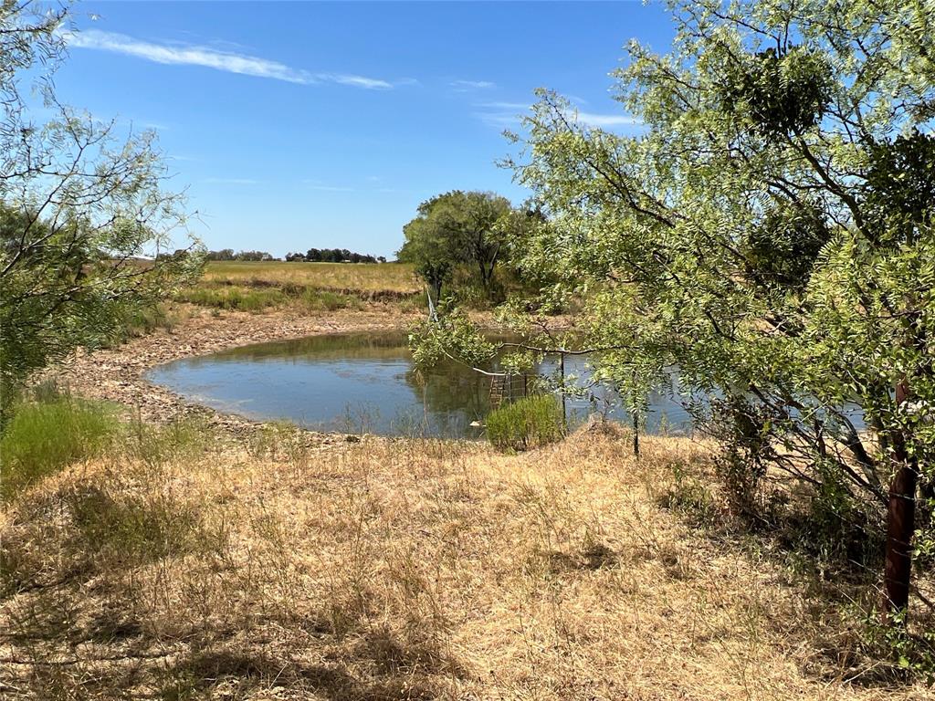 1410 County Road 239 Rising Star, TX 76471 - Photo 23 of 35