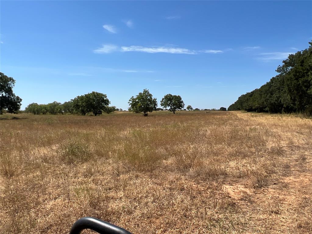 1410 County Road 239 Rising Star, TX 76471 - Photo 24 of 35