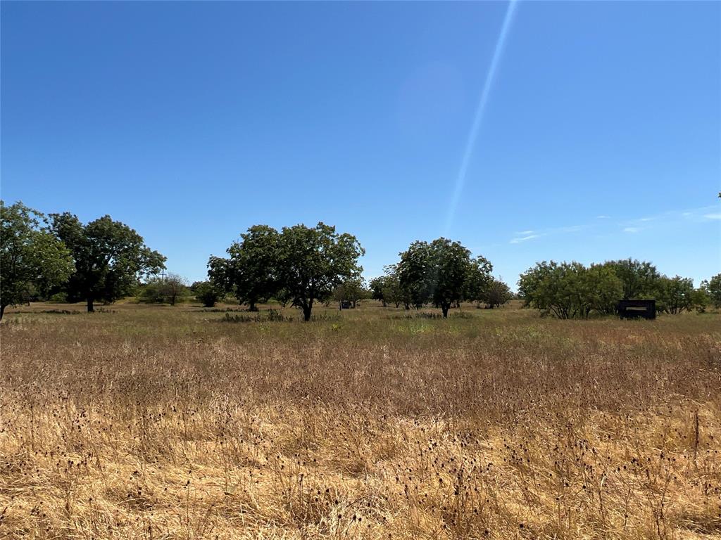 1410 County Road 239 Rising Star, TX 76471 - Photo 25 of 35