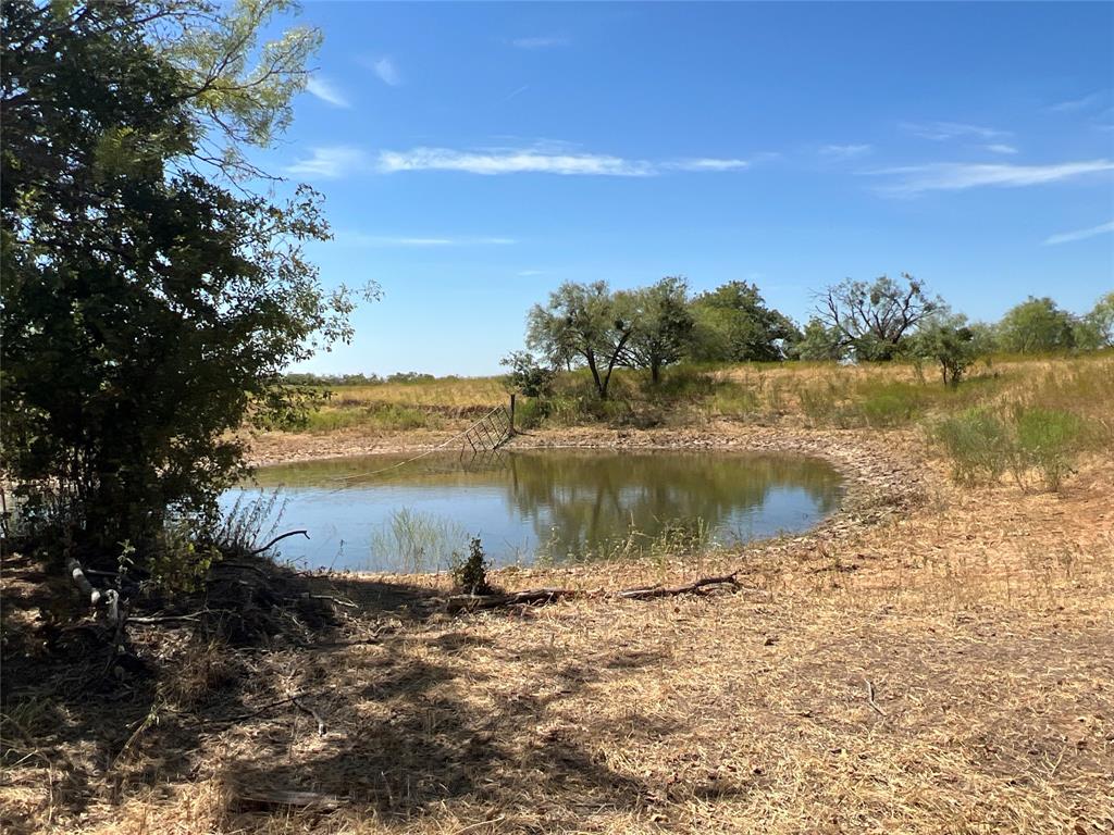 1410 County Road 239 Rising Star, TX 76471 - Photo 26 of 35