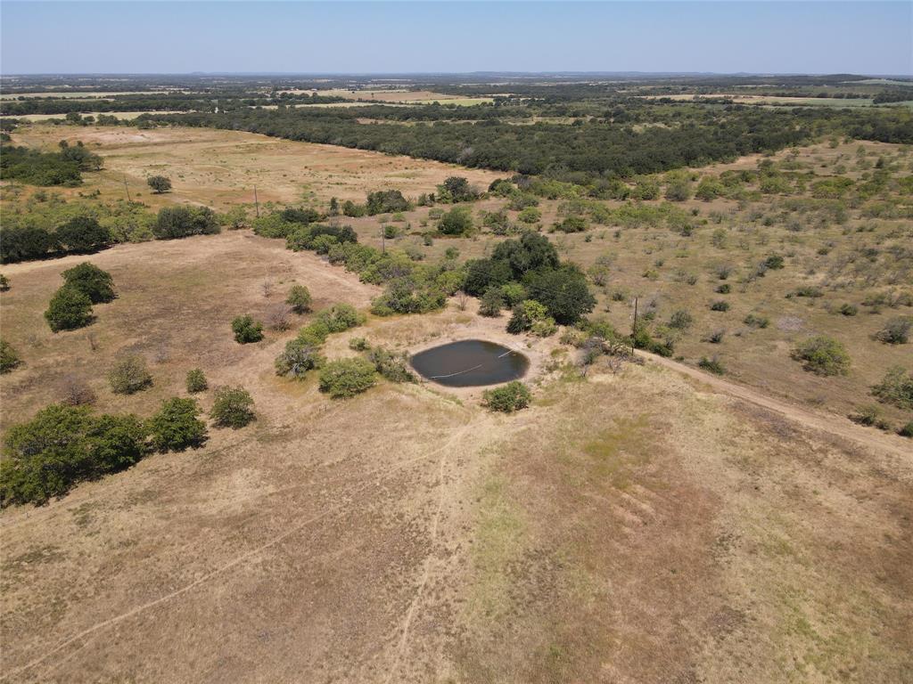 1410 County Road 239 Rising Star, TX 76471 - Photo 8 of 35