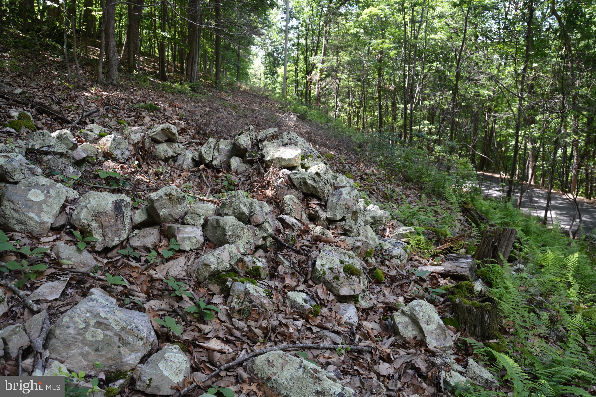 59 60 61 Baldwin Road Front Royal, VA 22630 - Photo 15 of 23 Interesting topography