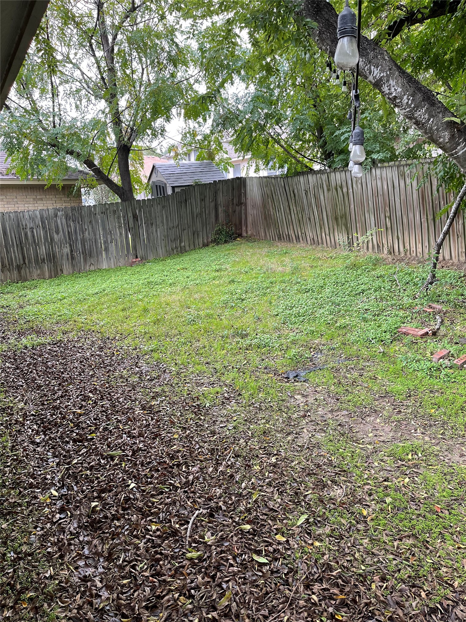 12513 Wethersby Way Austin, TX 78753 - Photo 14 of 16 View of fenced backyard