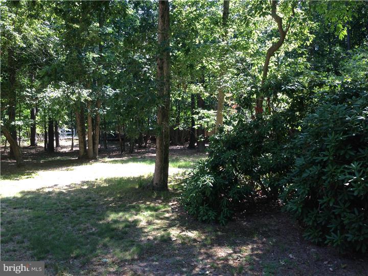 11 Brotherton Road Shamong, NJ 08088 - Photo 25 of 25 View in Back