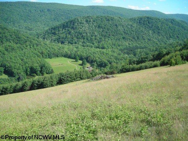 4094 Files Creek Road Beverly, WV 26253 - Photo 17 of 20 Gallery Image 17