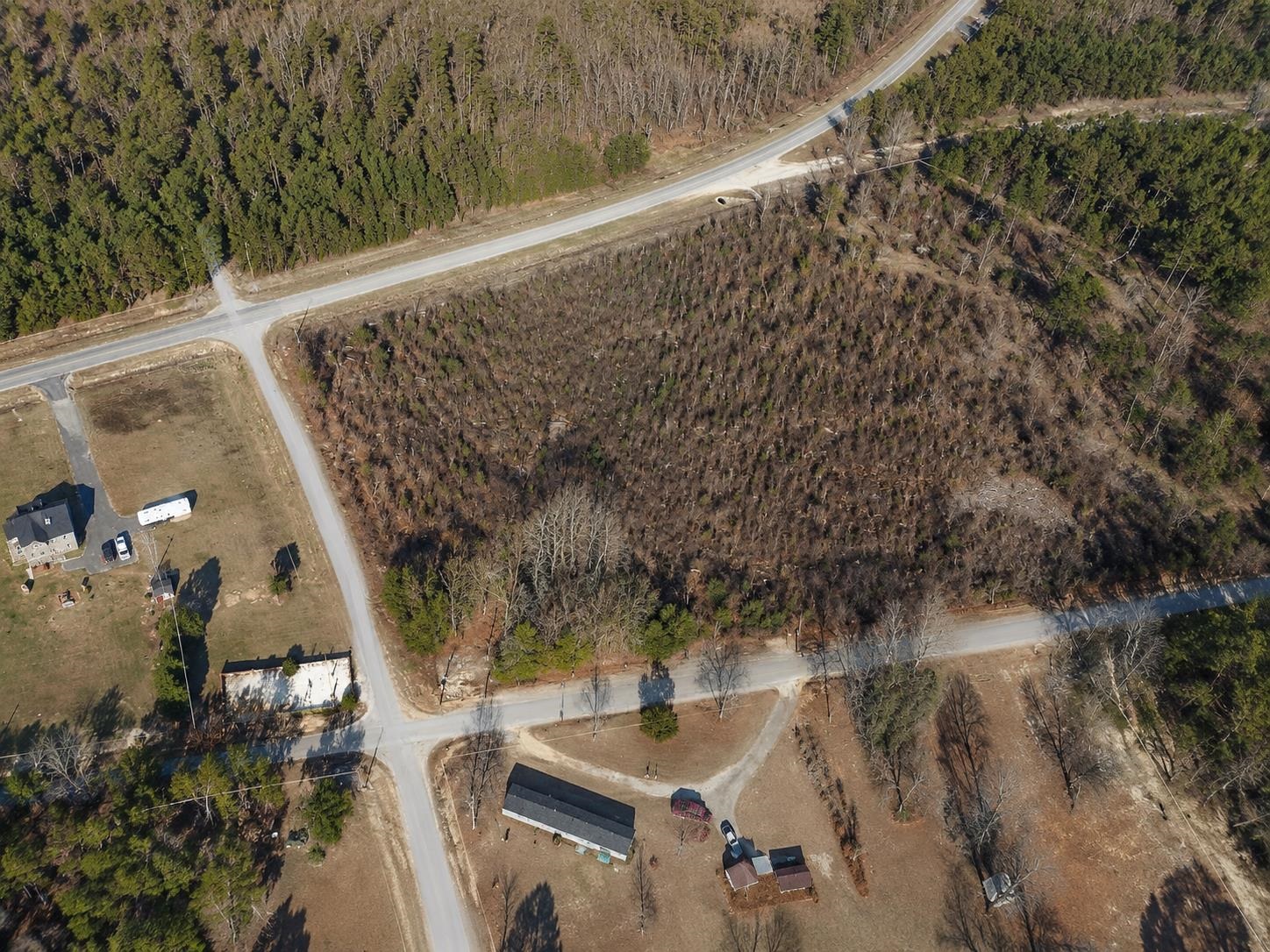 0 Berry Road Latta, SC 29565 - Photo 2 of 5