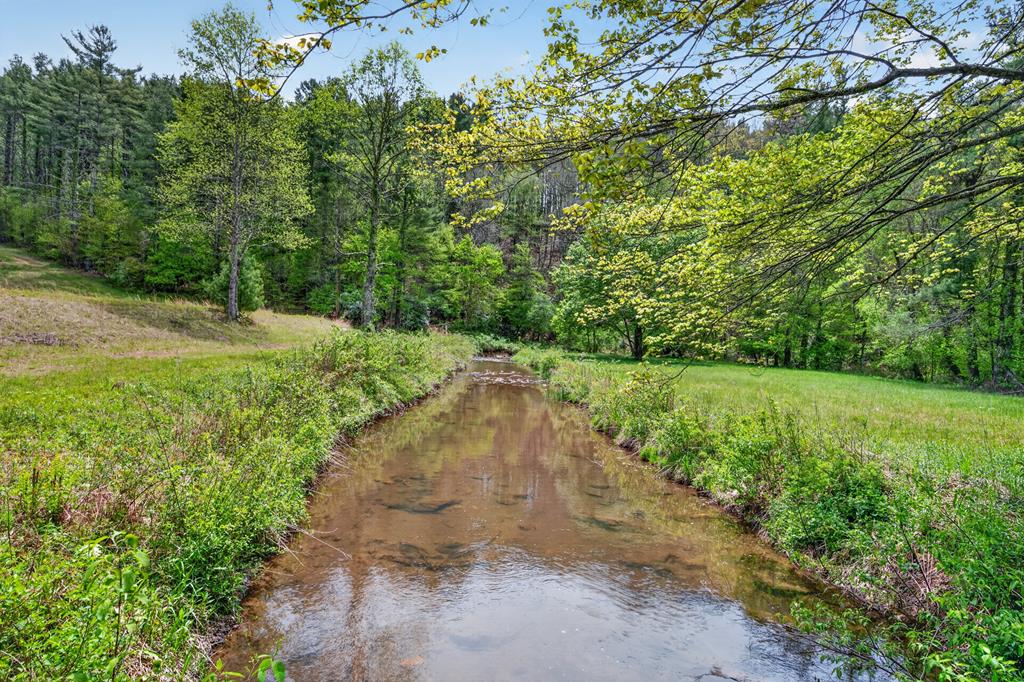 1768 Shelor Road Southwest Meadows Of Dan, VA 24120 - Photo 76 of 92 Gallery Image 76
