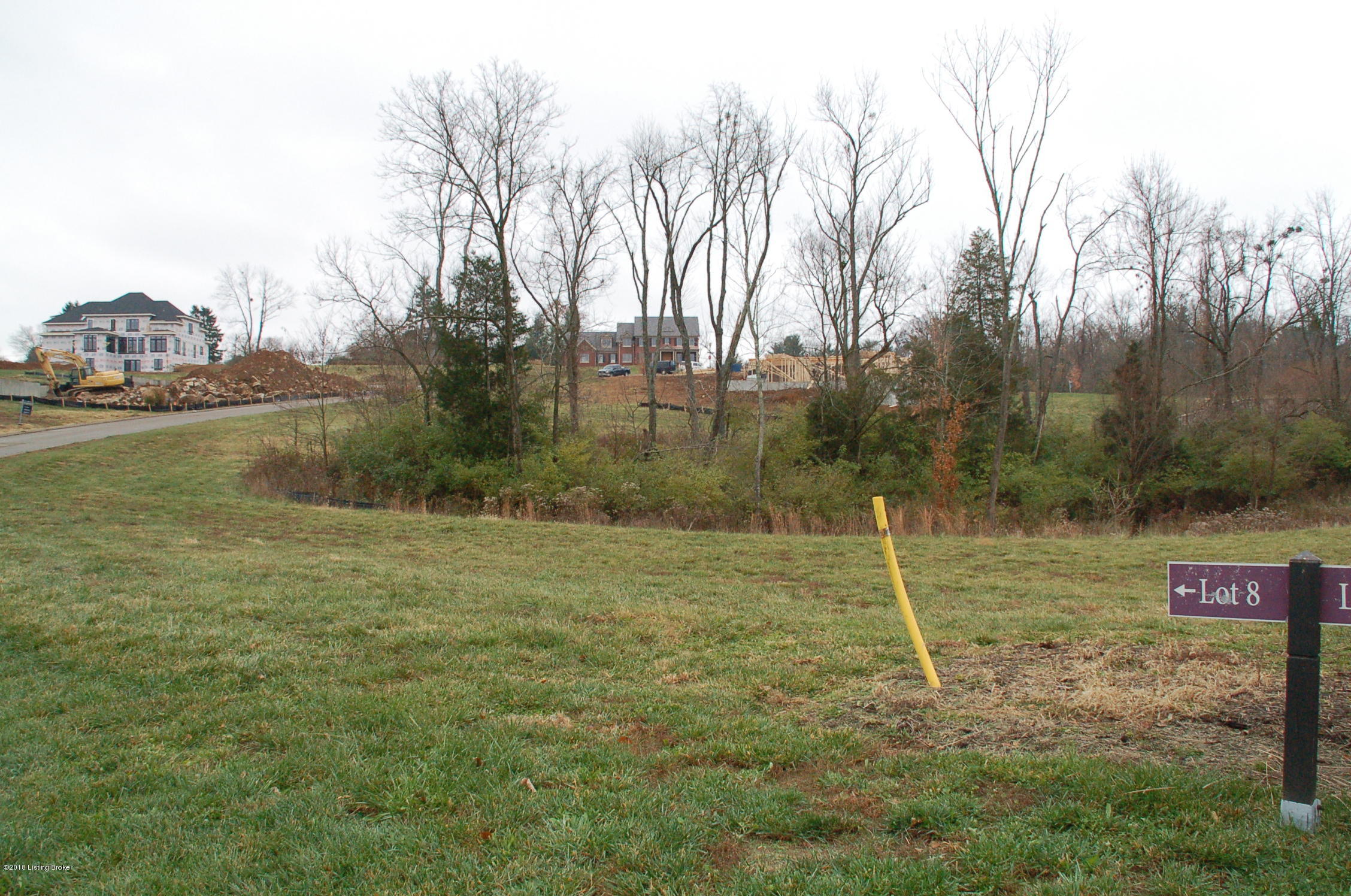 6711 Regal Road Louisville, KY 40222 - Photo 18 of 20 2013, yellow pipe still there today. Near lot boundary. Lower side of lot, looking up Regal Road