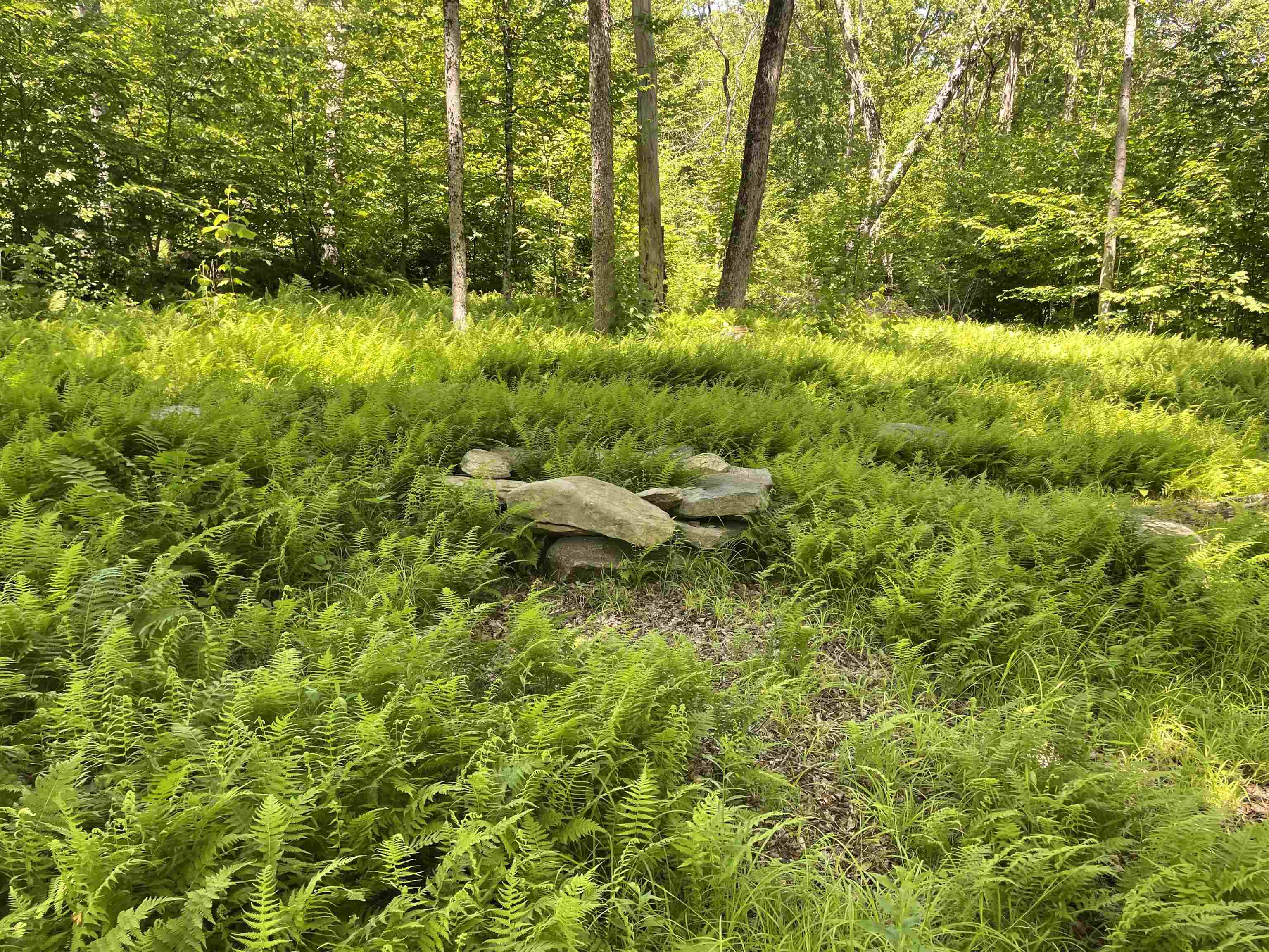 1408 Hatch School Road Halifax, VT 05301 - Photo 35 of 40