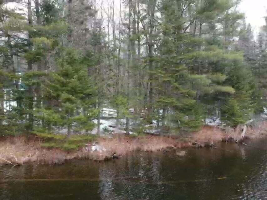 0 Deer Run Mount Vernon, ME 04352 - Photo 12 of 25 2