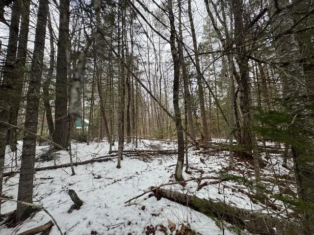 $95,000 | 0 Deer Run, Mount Vernon, ME 04352