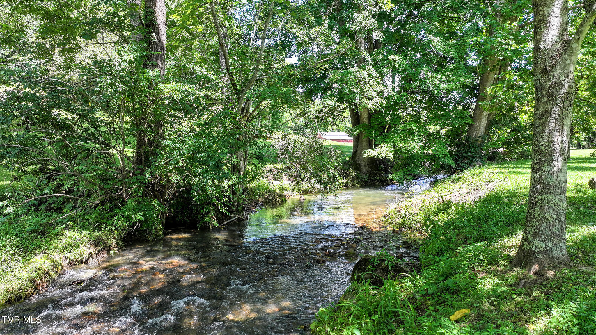 950 Middle Creek Road Afton, TN 37616 - Photo 4 of 64 DJI_20260717225914_0236_D