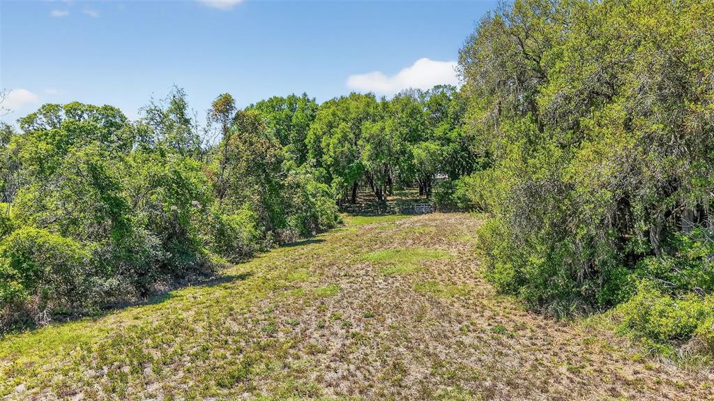 32510 Whitney Road Leesburg, FL 34748 - Photo 10 of 55