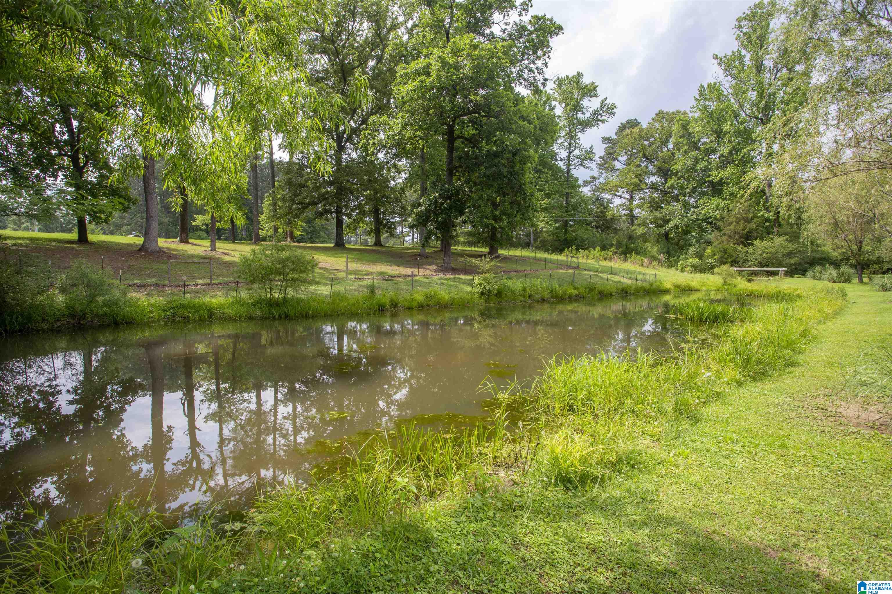 1392 Downs Road Mount Olive, AL 35117 - Photo 71 of 78 Gallery Image 71